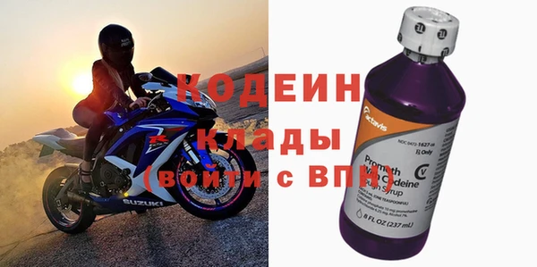 стаф Апатиты