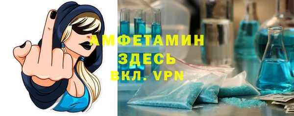 прущие грибы Анива