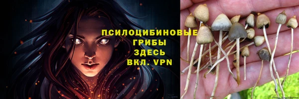 прущие грибы Анива