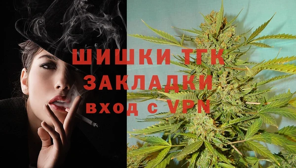 стаф Апатиты