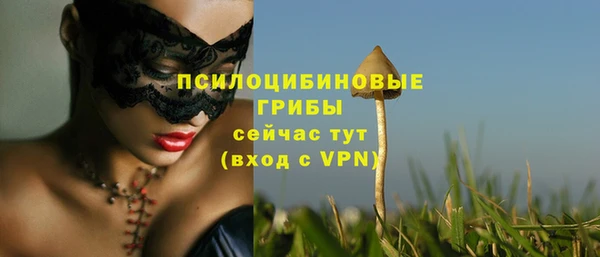 прущие грибы Анива
