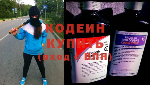 стаф Апатиты