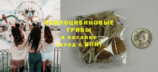 прущие грибы Анива
