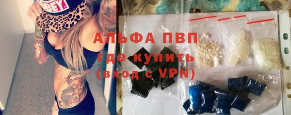 прущие грибы Анива
