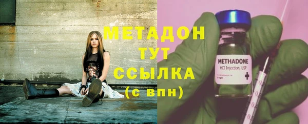 прущие грибы Анива