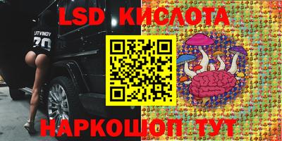 ГАЛЛЮЦИНОГЕННЫЕ ГРИБЫ Дубна