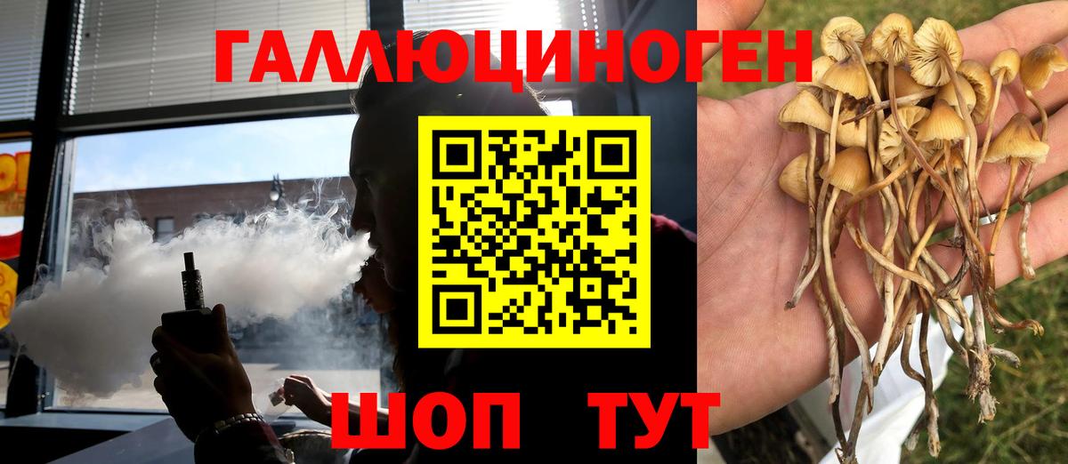 Галлюциногенные грибы GOLDEN TEACHER Изобильный